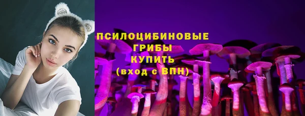 шишки Ветлуга