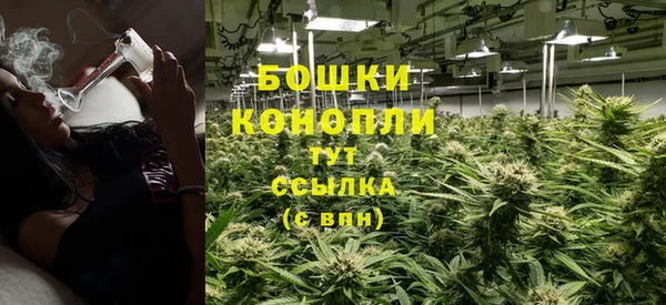 дурь Весьегонск