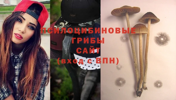 спиды Видное