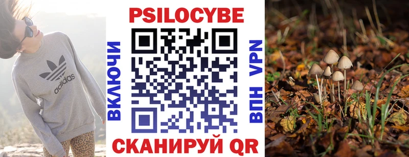 дарк нет состав МЕГА сайт Руза Псилоцибиновые грибы Psilocybe